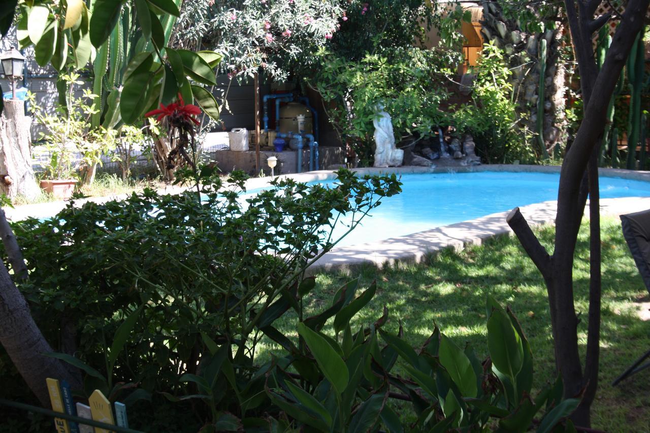 Tikay Suite Hotel Copiapó Kültér fotó