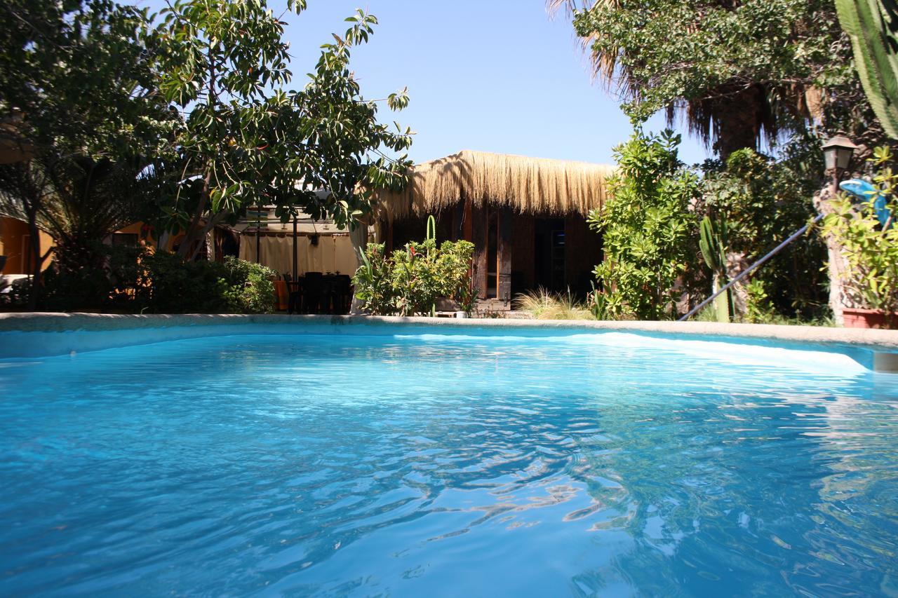 Tikay Suite Hotel Copiapó Kültér fotó